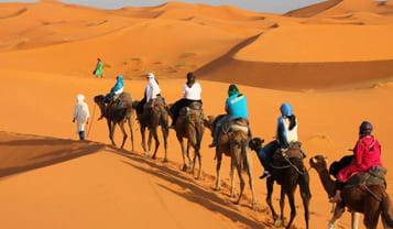 Merzouga Camel Trekking