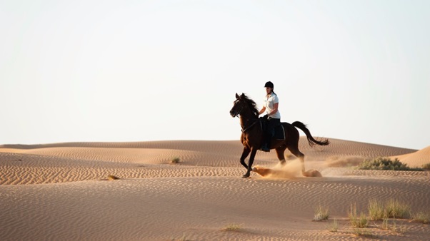 Horseback Riding in Merzouga Desert