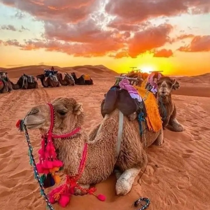 Morocco Desert Tours from Agadir